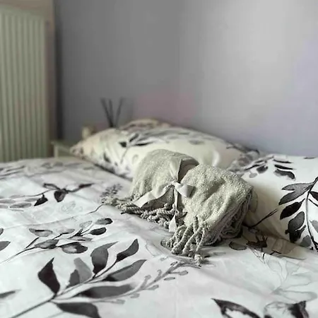Beautiful Flat With Sunny Balcony In Heart Of Le Port Nice